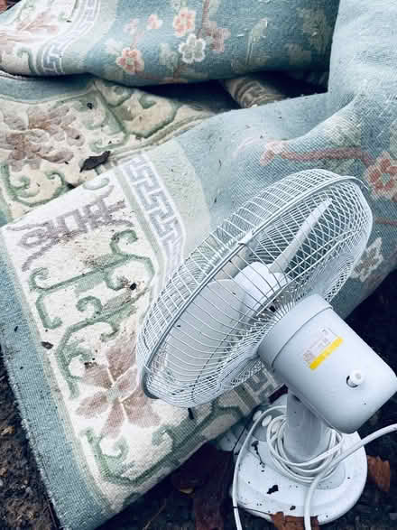 Photo of free Table Fan X-mas decoration reindeer (5 Octavia Street, San Rafael) #1