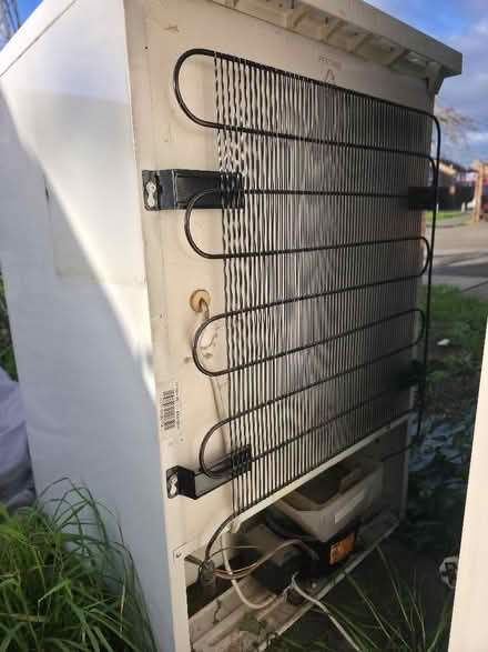 Photo of free Zanussi Fridge (Swindon Village GL51) #3