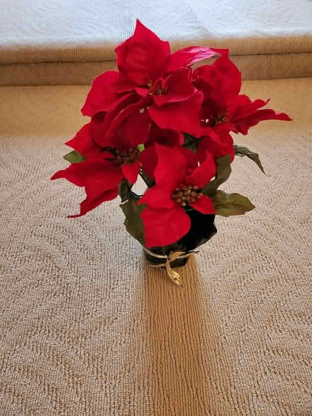 Photo of free Artificial poinsettia (Rockville) #1