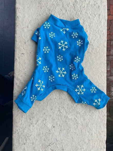 Photo of free Dog Snowflake Outfit s-xs (Oakland) #1