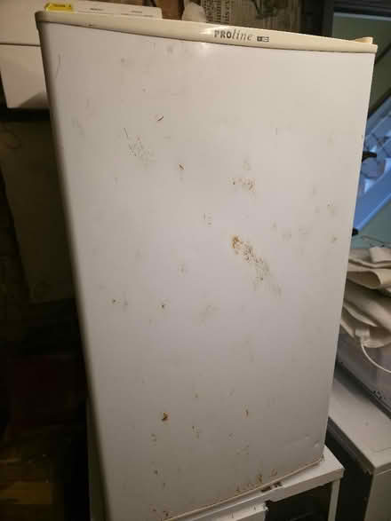 Photo of free Proline Freezer (Swindon Village GL51) #1