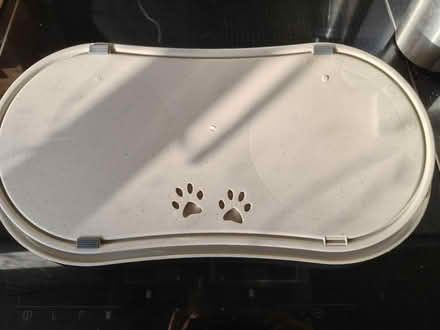 Photo of free Pet feeding tray (Cowplain PO8) #2