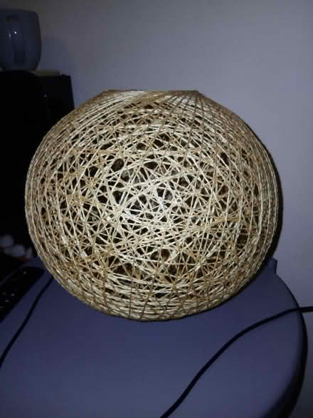 Photo of free Lampshade (Hillsborough S6) #1