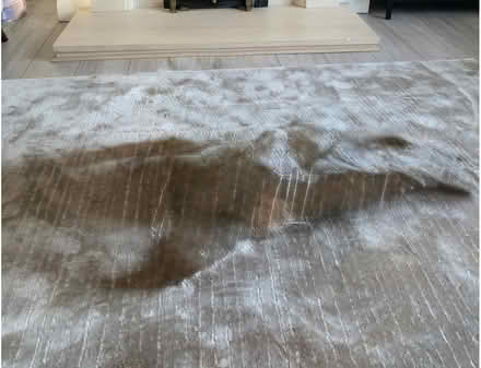 Photo of free Large Rug (Didsbury M20) #1