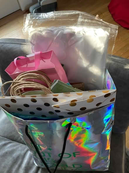 Photo of free Multiple gift bags and tissue paper (NW DC nr Silver Spring) #1