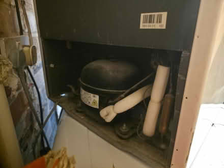 Photo of free Proline Freezer (Swindon Village GL51) #4