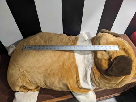Photo of free Large bull dog stuffed animal (Abington) #3