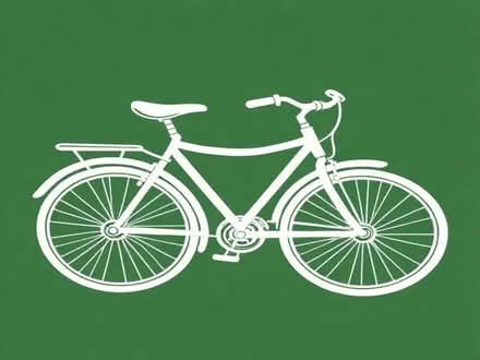 Photo of Bike for 14 years old (Leigh WN7) #1