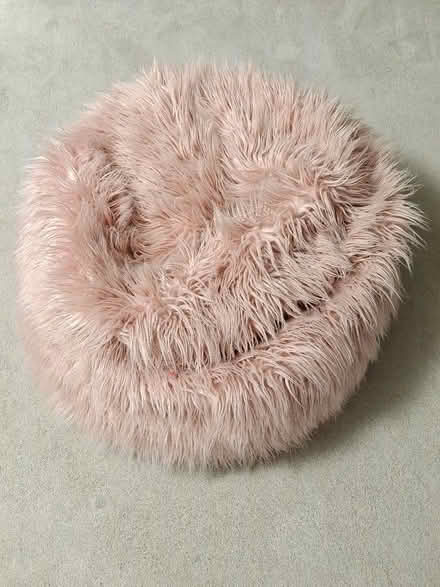 Photo of free Fluffy Bean Bag (Kenley CR8) #1