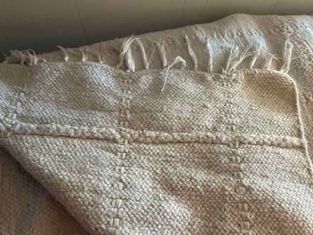 Photo of free Either a heavy blanket or area rug (Marley) #1