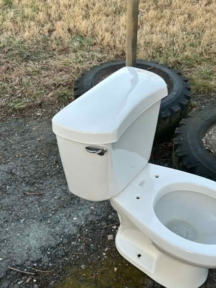 Photo of free Toilet (Berwyn Heights) #2