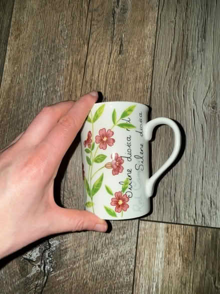 Photo of free Floral mug (Oswestry SY11) #2