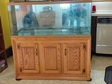 Photo of free 55 gallon aquarium and stand (West cocalico township) #1