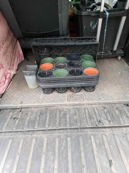 Photo of free Seed starting containers and trays (Mt Rainier MD) #1