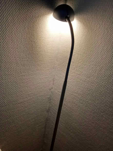 Photo of free Floor lamp (Willesborough) #3