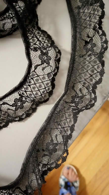 Photo of free Lace, zipper (Chicago, IL) #3