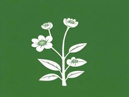 Photo of free Pyracantha plant (islington N1) #1