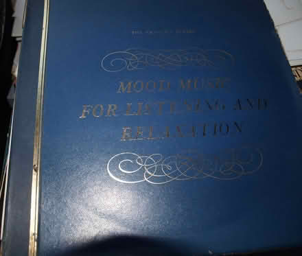 Photo of free Vinyl LPs (Gorebridge EH23) #1