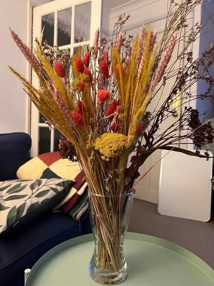 Photo of free Dried flowers with vase (Bermondsey SE16) #1