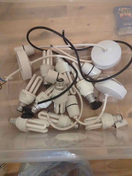 Photo of free Bulbs and light fittings (Bare, LA4) #3