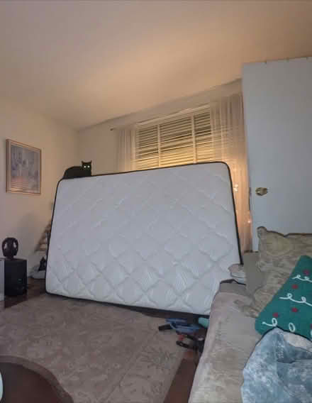 Photo of free full size mattress -- new (Forest Hills, Queens) #1