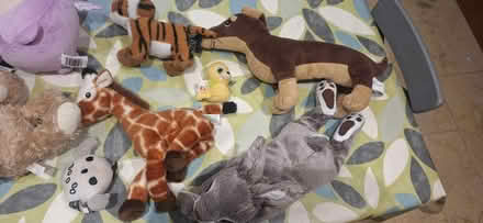 Photo of free Bundle of Soft toys (Berkhamsted HP4) #3