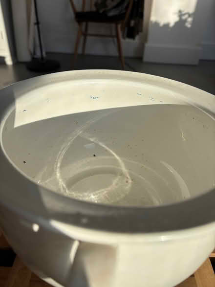 Photo of free White ceramic bowl / chamber pot (Stapleton. BS16) #1
