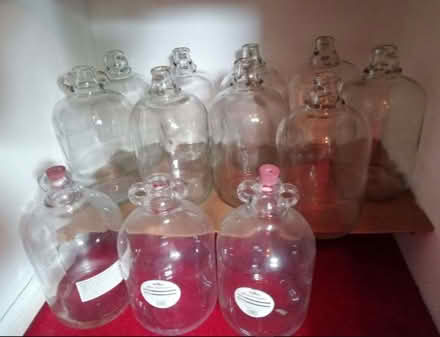 Photo of free 13 DemiJohns (Cross Farm AL5) #1