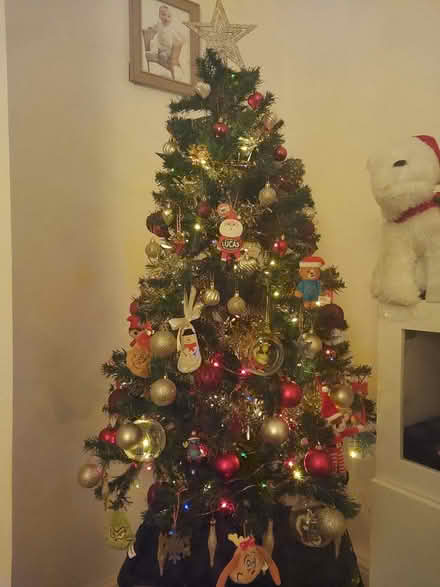 Photo of free 5ft artificial green Xmas tree (S43 Staveley) #1