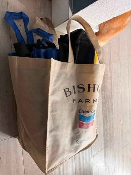 Photo of free New and used reusable shopping bags (Albany near Santa Fe Ave) #1