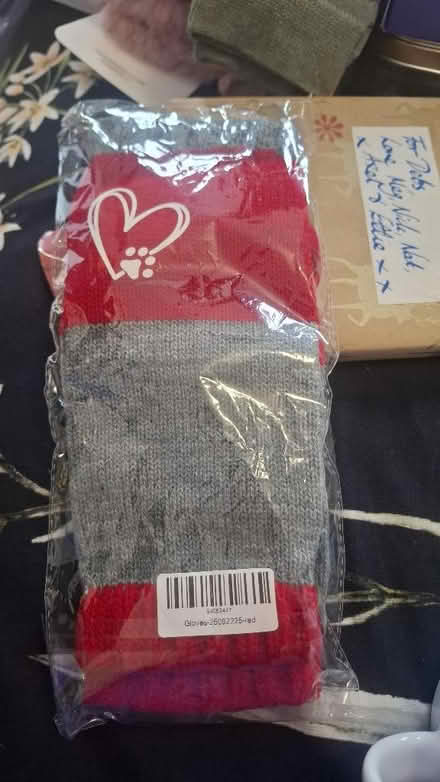Photo of free Grey and red fingerless gloves (Seaside BN22) #1