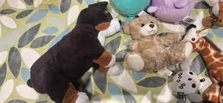 Photo of free Bundle of Soft toys (Berkhamsted HP4) #4