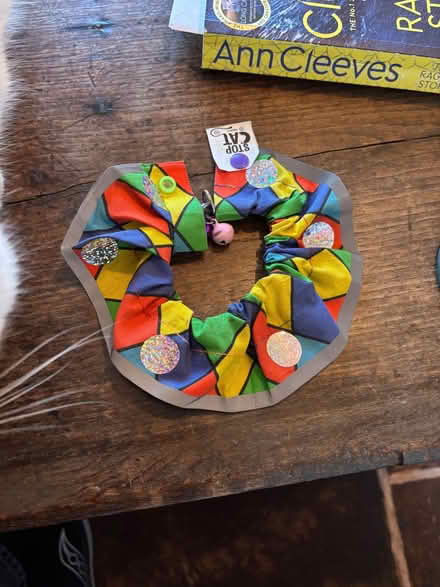 Photo of free Bird protecting cat collar (Penrith CA11) #3