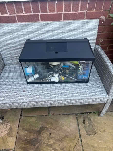 Photo of free Tropical fish tank (Runcorn WA7) #1