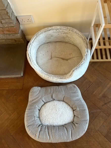 Photo of free Two cat beds (Trumpington Ward CB2) #1