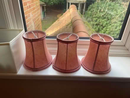 Photo of free 3 small pink lamp shades (Shotover OX3) #1
