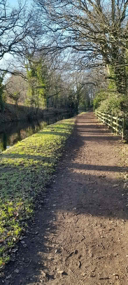 Photo of mountain bikes (Wollaston DY8) #1