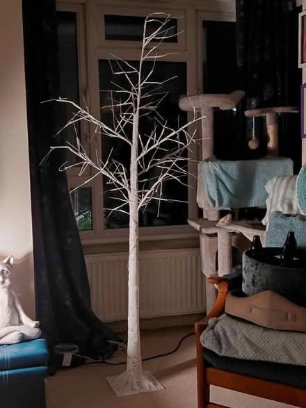 Photo of free Pre-lit Twig Christmas Tree (RG213AD) #2