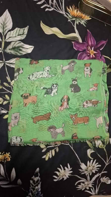 Photo of free Brand new dog themed scarf (Seaside BN22) #1