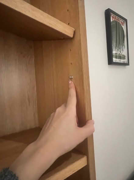 Photo of free Long book shelf (SW17) #3