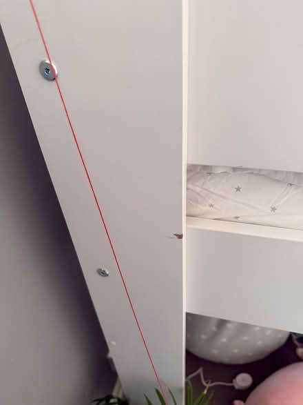 Photo of free GLTC Paddington MidSleeper CabinBed (Fulham SW6) #4