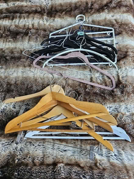 Photo of free Clothes hangers (Buggs Bottom RG4) #1