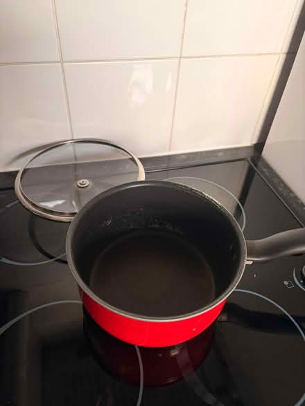 Photo of free 🍲 Red Tefal Saucepan + Glass Lid (Richmond TW9) #2