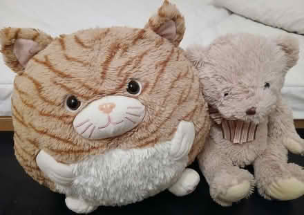 Photo of free Soft toys (MK41) #1