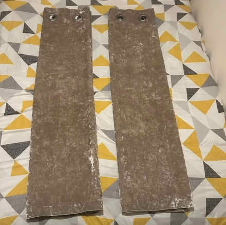 Photo of free Next crushed velvet curtains (Leeds LS12) #1