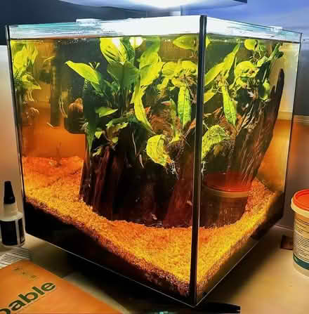 Photo of free Large glass aquarium with plants – Nottingham (Hyson Green NG7) #1