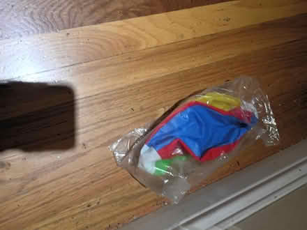 Photo of free Beach ball (Birdland) #1