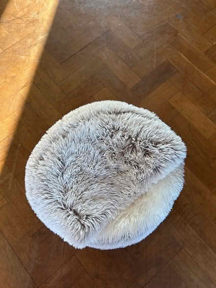 Photo of free Fluffy cat bed (Trumpington Ward CB2) #1