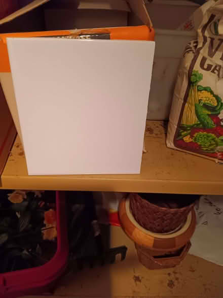 Photo of free Glazed white Tiles from B &Q (Knaresborough HG5) #1