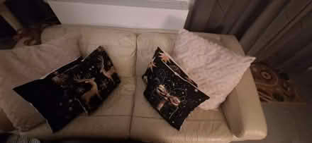 Photo of free Sofa (Finchley N2) #2